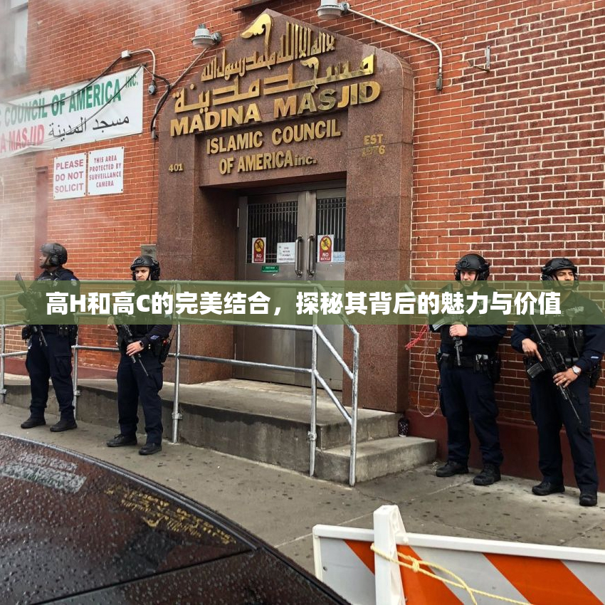 高H和高C的完美结合，探秘其背后的魅力与价值