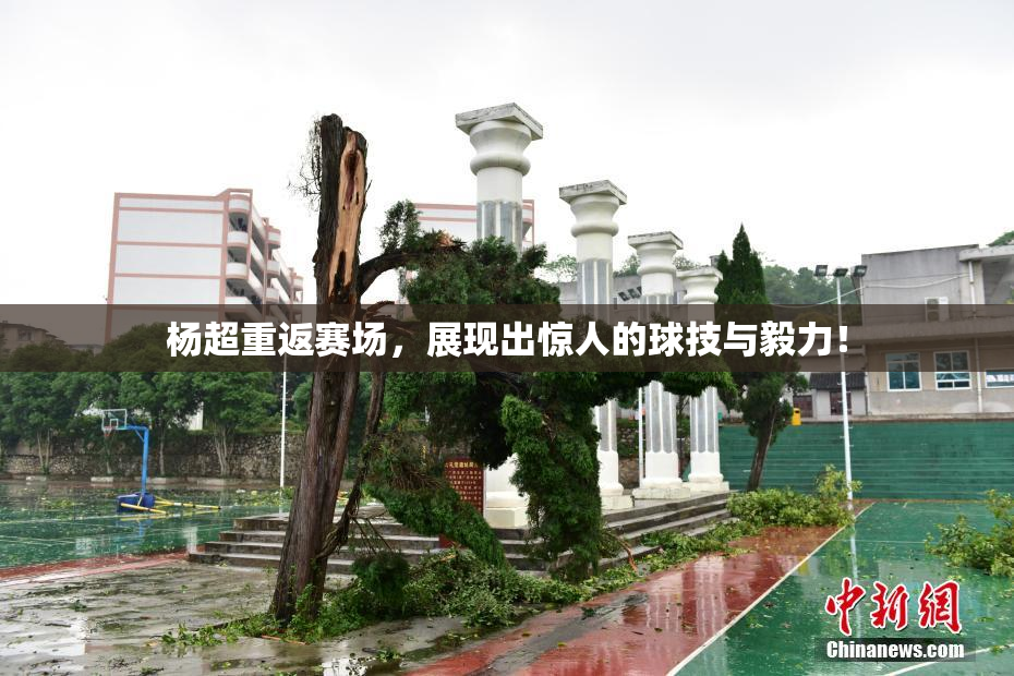 杨超重返赛场，展现出惊人的球技与毅力！