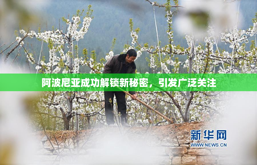 阿波尼亚成功解锁新秘密，引发广泛关注