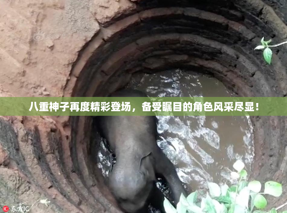 八重神子再度精彩登场，备受瞩目的角色风采尽显！
