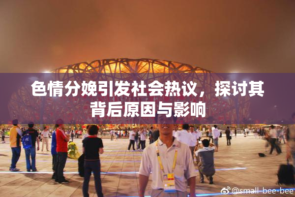 色情分娩引发社会热议，探讨其背后原因与影响