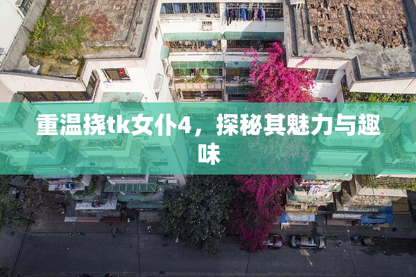重温挠tk女仆4，探秘其魅力与趣味