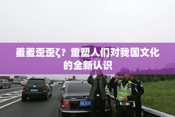 羞羞歪歪ζ？重塑人们对我国文化的全新认识
