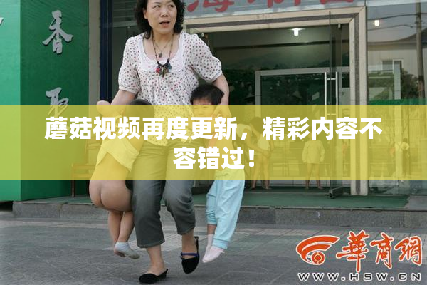 蘑菇视频再度更新，精彩内容不容错过！