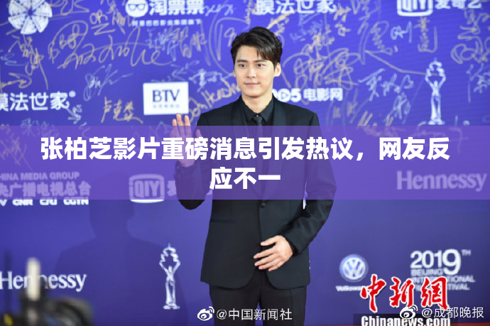张柏芝影片重磅消息引发热议，网友反应不一