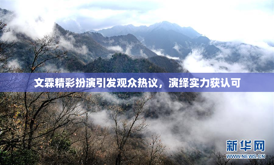 文霖精彩扮演引发观众热议，演绎实力获认可