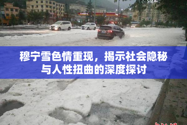 穆宁雪色情重现，揭示社会隐秘与人性扭曲的深度探讨