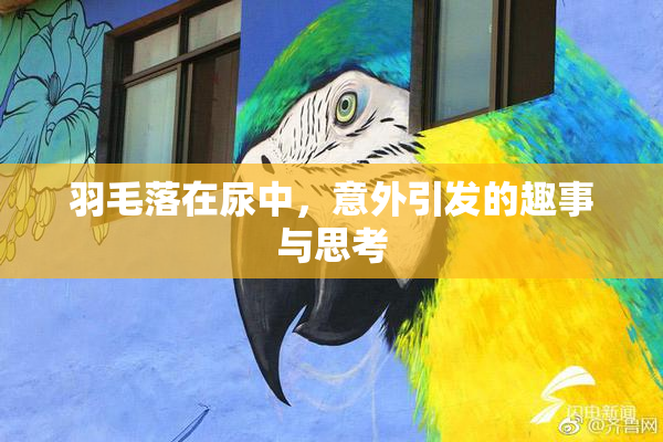 羽毛落在尿中，意外引发的趣事与思考