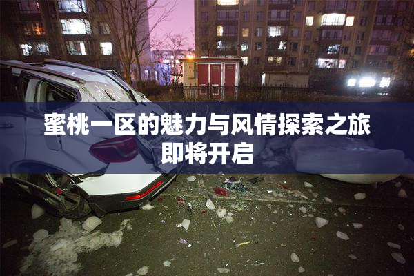 蜜桃一区的魅力与风情探索之旅即将开启