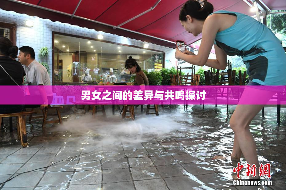 男女之间的差异与共鸣探讨