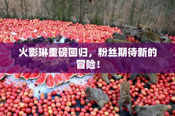 火影琳重磅回归，粉丝期待新的冒险！