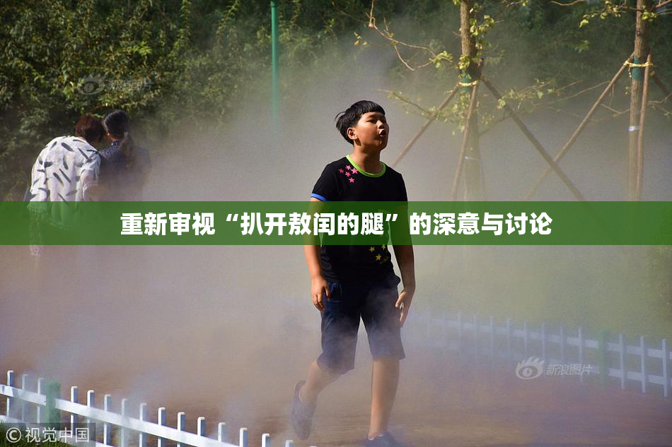 重新审视“扒开敖闰的腿”的深意与讨论
