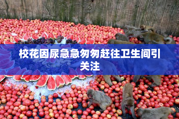 校花因尿急急匆匆赶往卫生间引关注