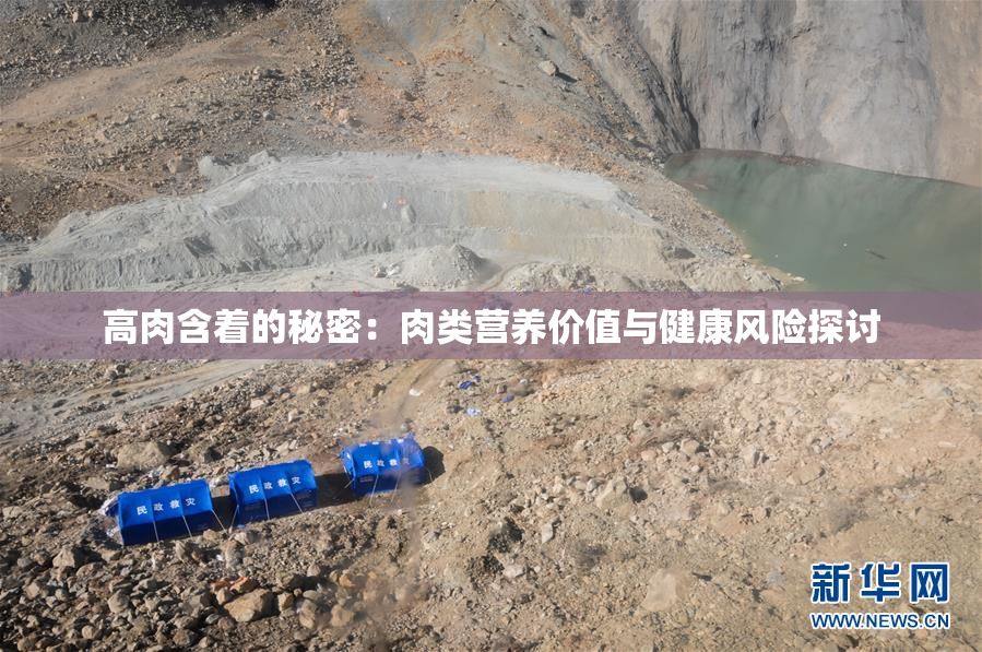 高肉含着的秘密：肉类营养价值与健康风险探讨