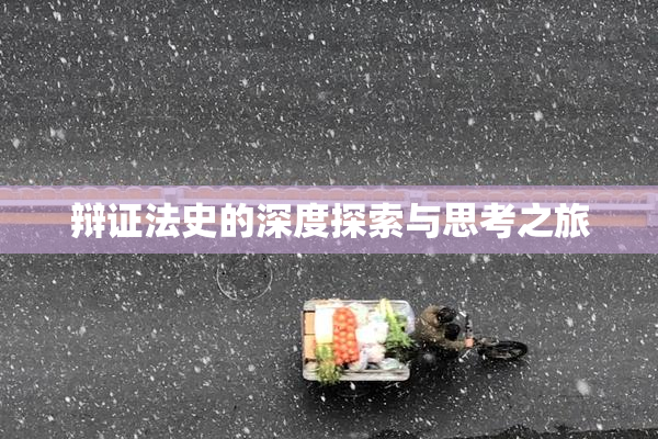 辩证法史的深度探索与思考之旅