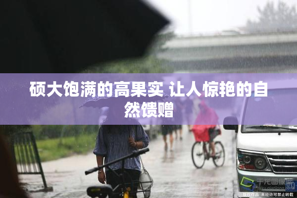 硕大饱满的高果实 让人惊艳的自然馈赠