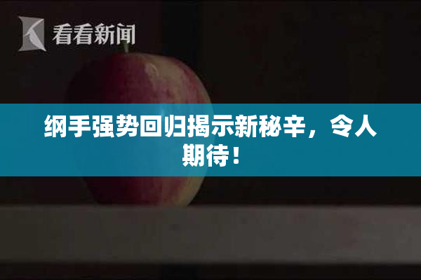 纲手强势回归揭示新秘辛，令人期待！