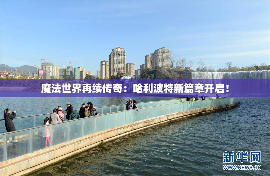 魔法世界再续传奇：哈利波特新篇章开启！