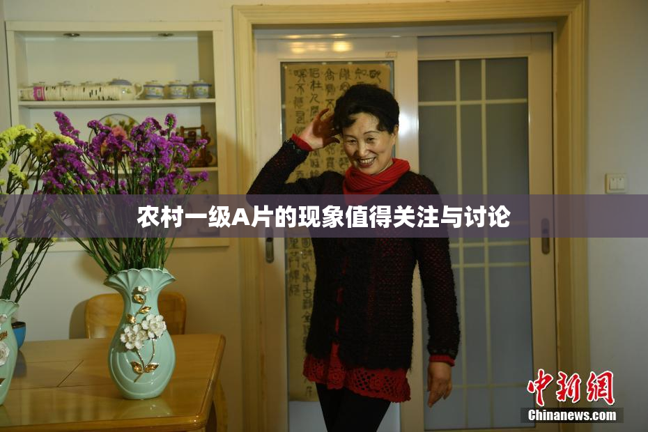 农村一级A片的现象值得关注与讨论