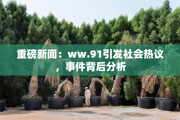 重磅新闻：ww.91引发社会热议，事件背后分析