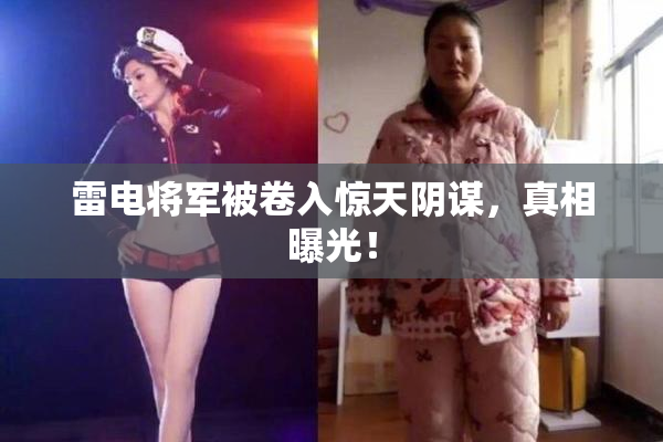 雷电将军被卷入惊天阴谋，真相曝光！