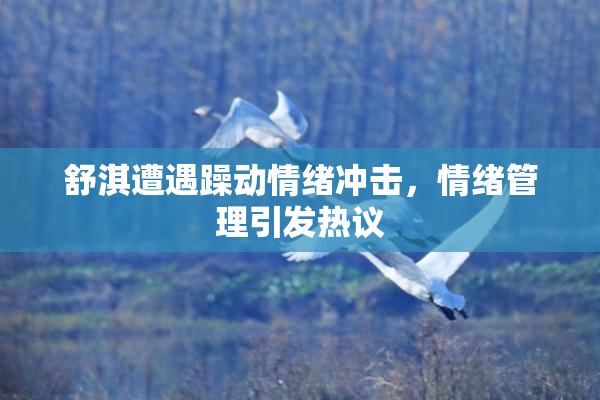 舒淇遭遇躁动情绪冲击，情绪管理引发热议