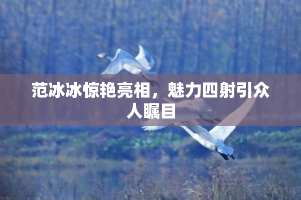 范冰冰惊艳亮相，魅力四射引众人瞩目
