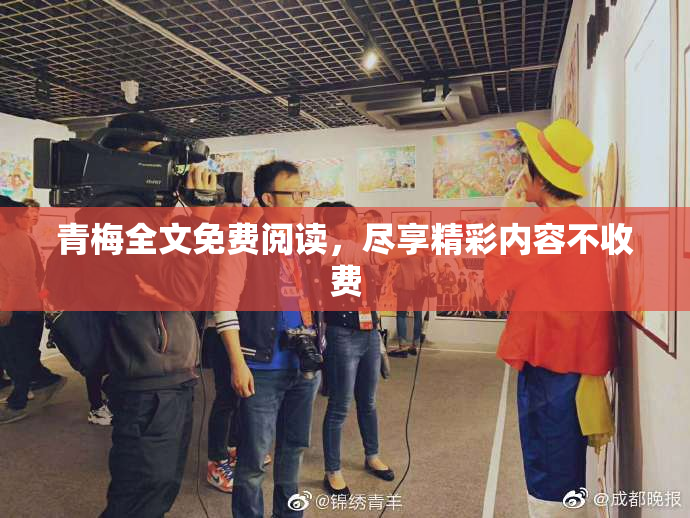 青梅全文免费阅读，尽享精彩内容不收费