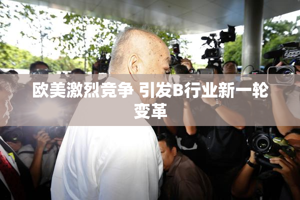 欧美激烈竞争 引发B行业新一轮变革