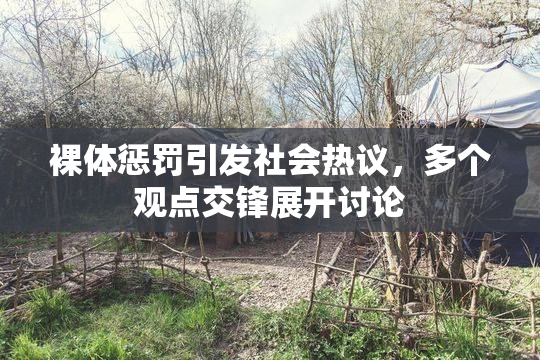 裸体惩罚引发社会热议，多个观点交锋展开讨论