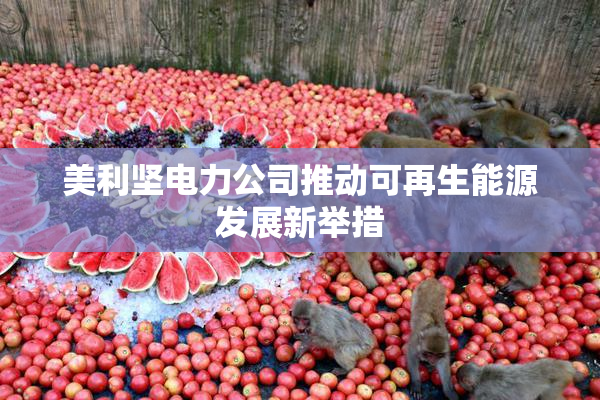 美利坚电力公司推动可再生能源发展新举措