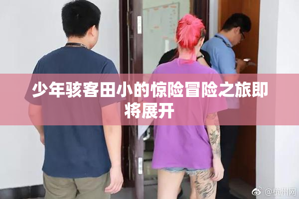 少年骇客田小的惊险冒险之旅即将展开