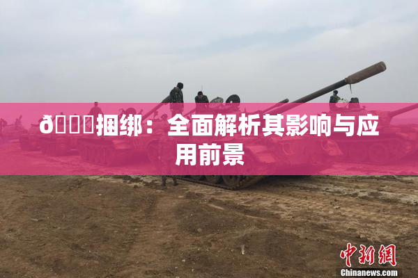 🔞捆绑：全面解析其影响与应用前景