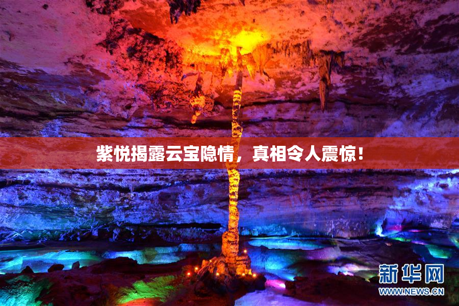 紫悦揭露云宝隐情，真相令人震惊！