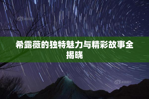 希露薇的独特魅力与精彩故事全揭晓