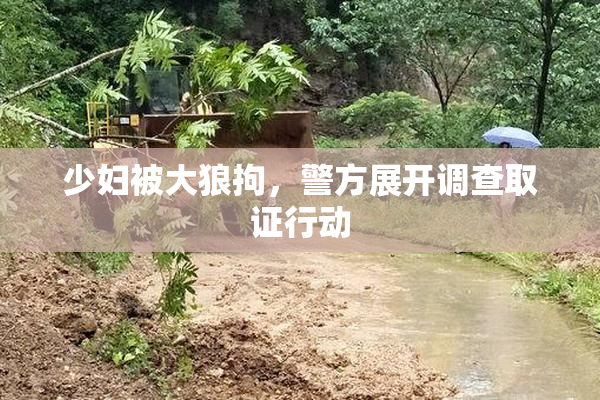 少妇被大狼拘，警方展开调查取证行动