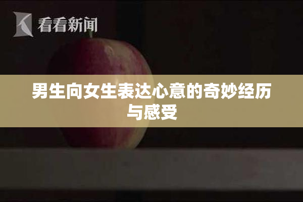 男生向女生表达心意的奇妙经历与感受