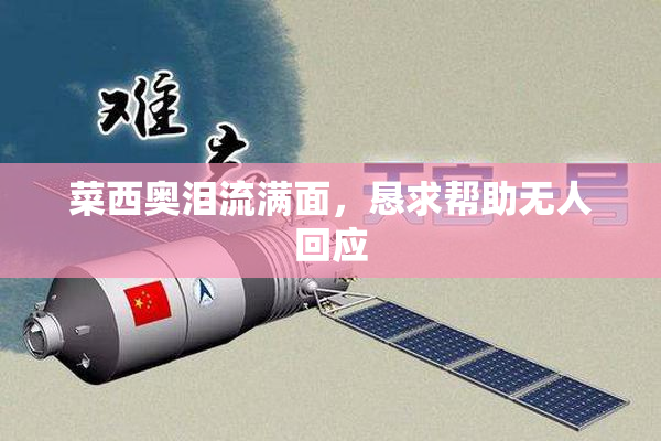 菜西奥泪流满面，恳求帮助无人回应