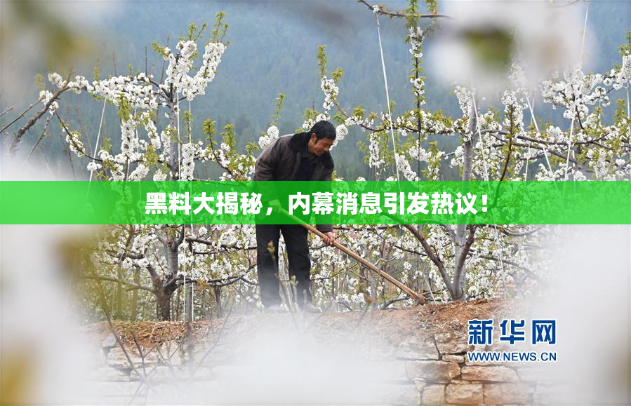 黑料大揭秘，内幕消息引发热议！