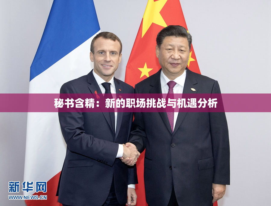 秘书含精：新的职场挑战与机遇分析