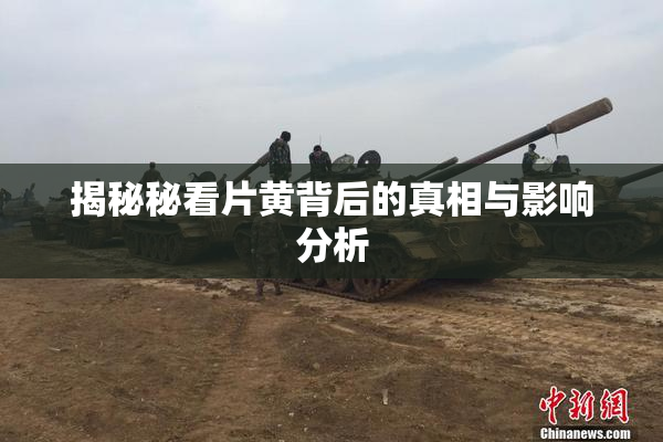揭秘秘看片黄背后的真相与影响分析