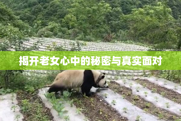 揭开老女心中的秘密与真实面对