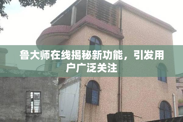鲁大师在线揭秘新功能，引发用户广泛关注