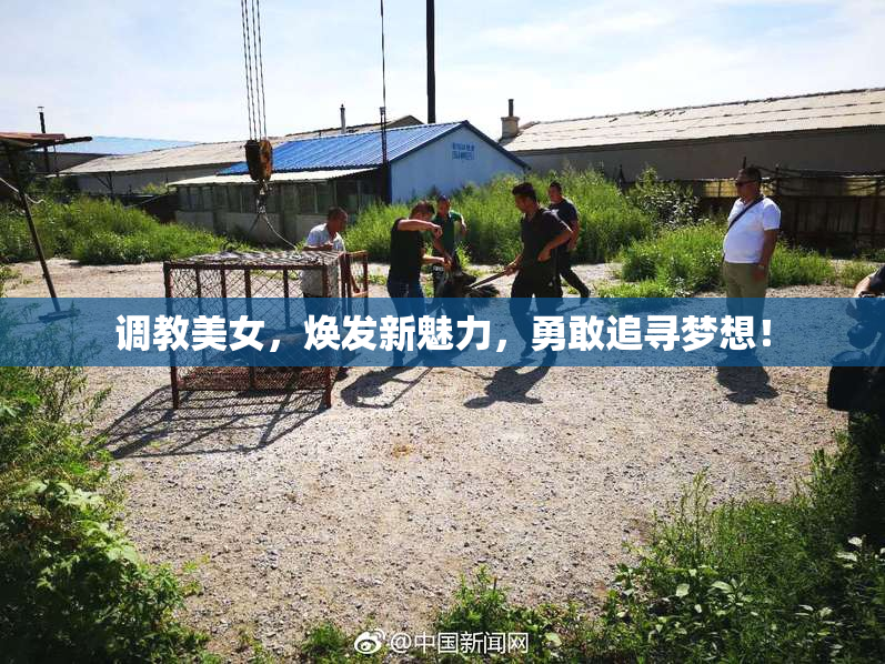 调教美女，焕发新魅力，勇敢追寻梦想！