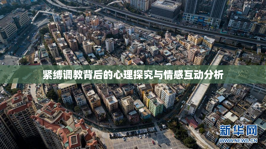 紧缚调教背后的心理探究与情感互动分析