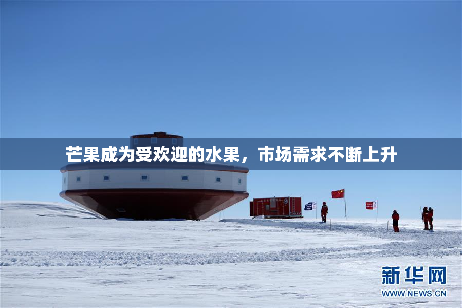 芒果成为受欢迎的水果，市场需求不断上升