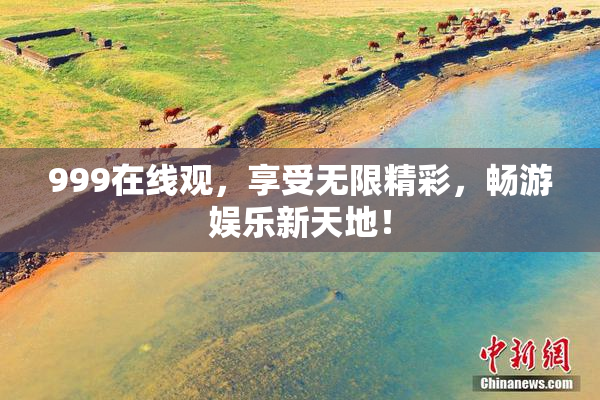 999在线观，享受无限精彩，畅游娱乐新天地！