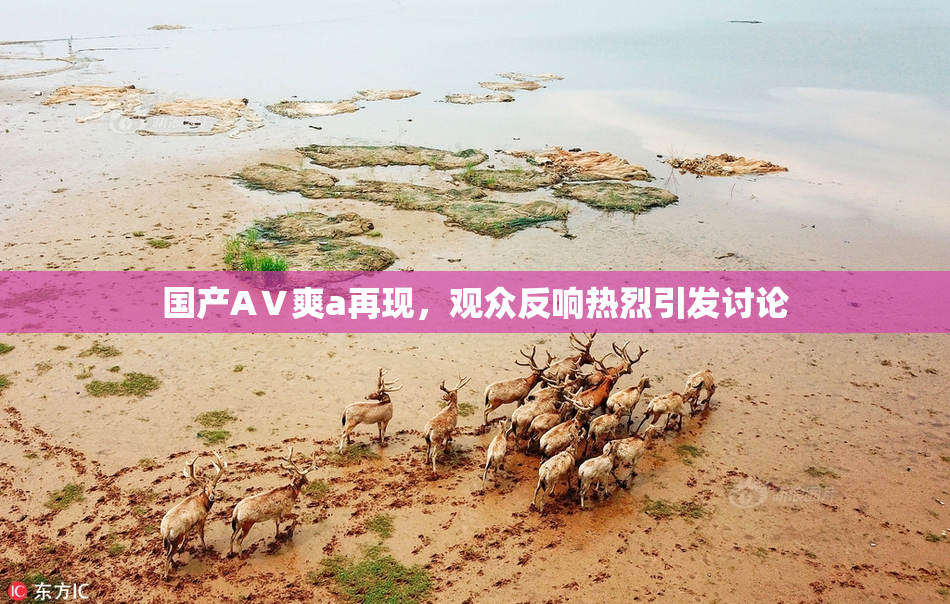 国产AⅤ爽a再现，观众反响热烈引发讨论