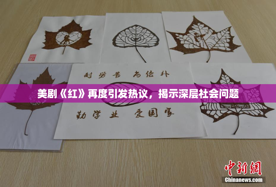 美剧《红》再度引发热议，揭示深层社会问题