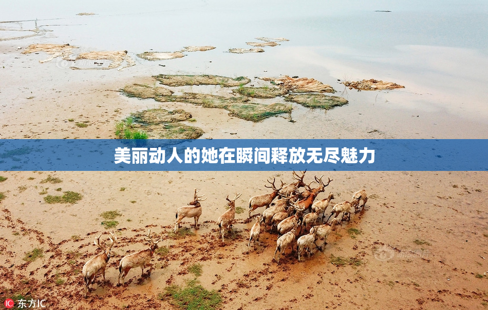 美丽动人的她在瞬间释放无尽魅力